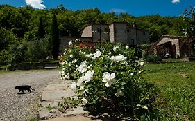 Agriturismo Azienda Agricola Il Pozzo